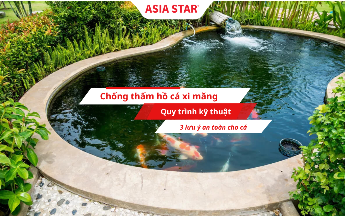 Chống thấm hồ cá xi măng