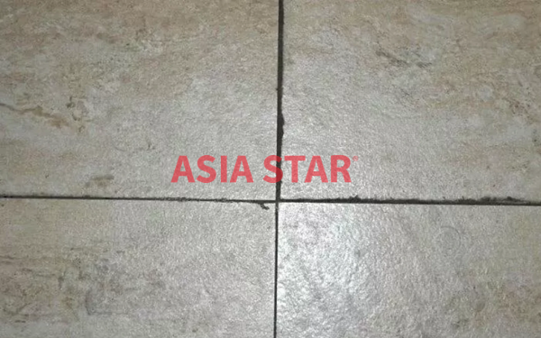 Sự phát triển của vi khuẩn và nấm mốc