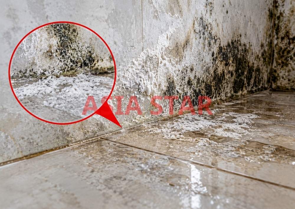 Tác nhân độ ẩm và sinh học 