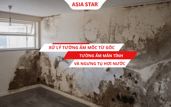 Xử lý tường ẩm mốc từ gốc