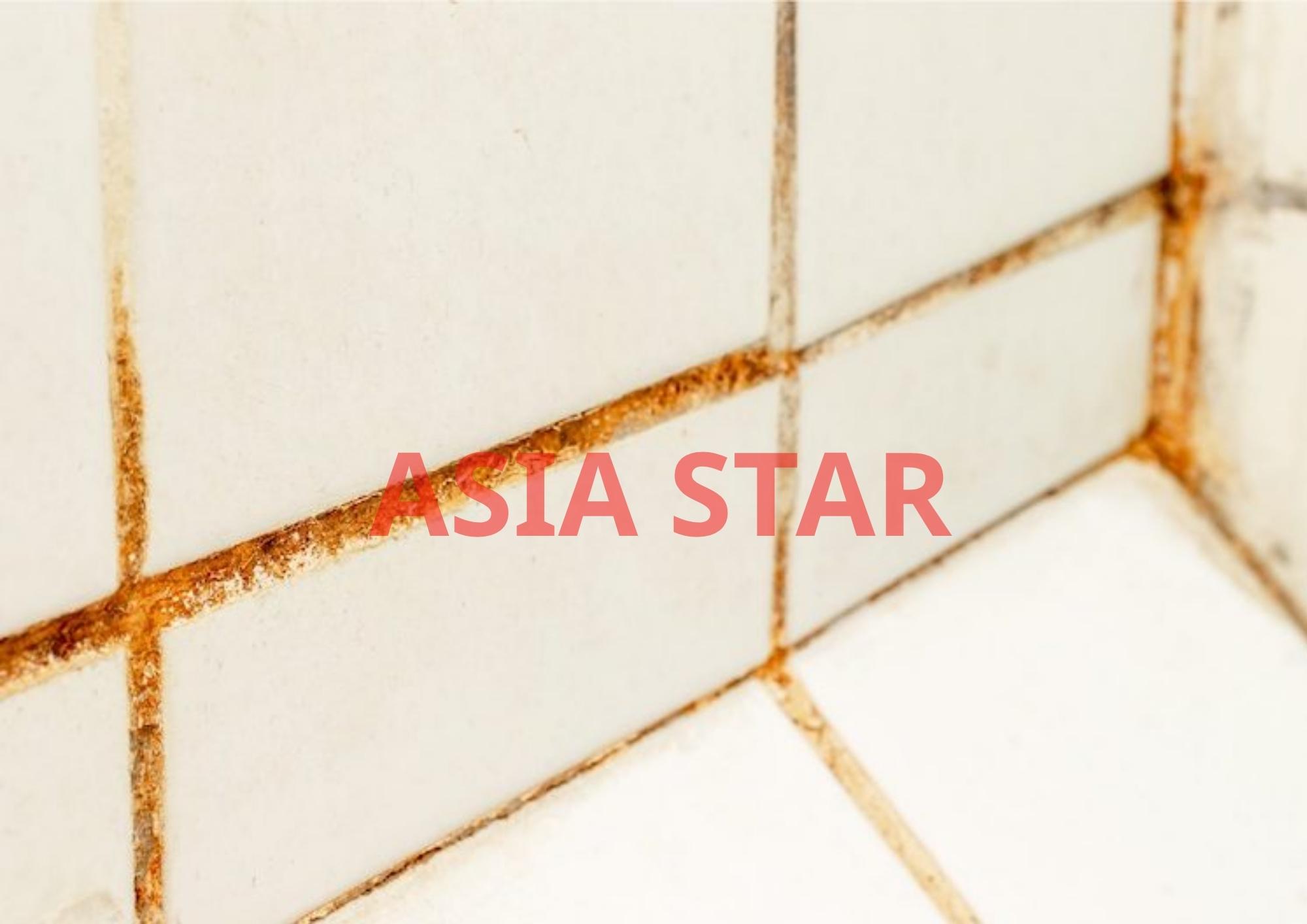 Hiện tượng nấm mốc 