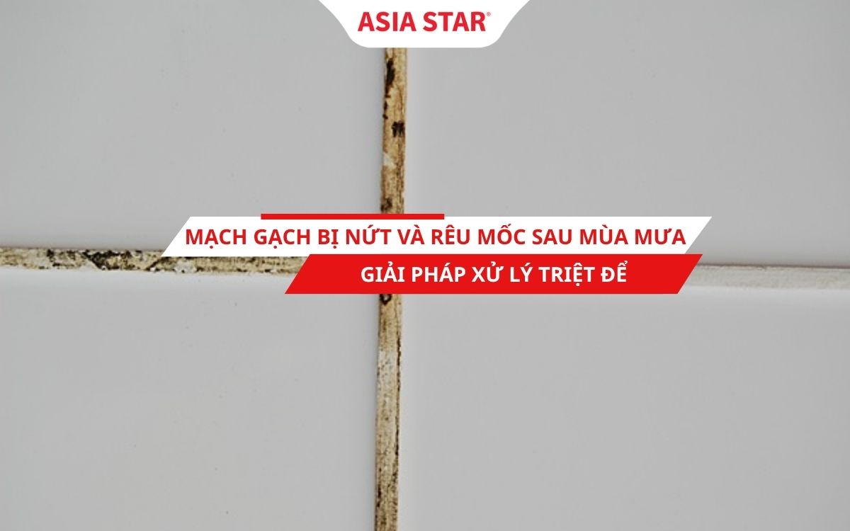 Mạch gạch bị nứt và rêu mốc 