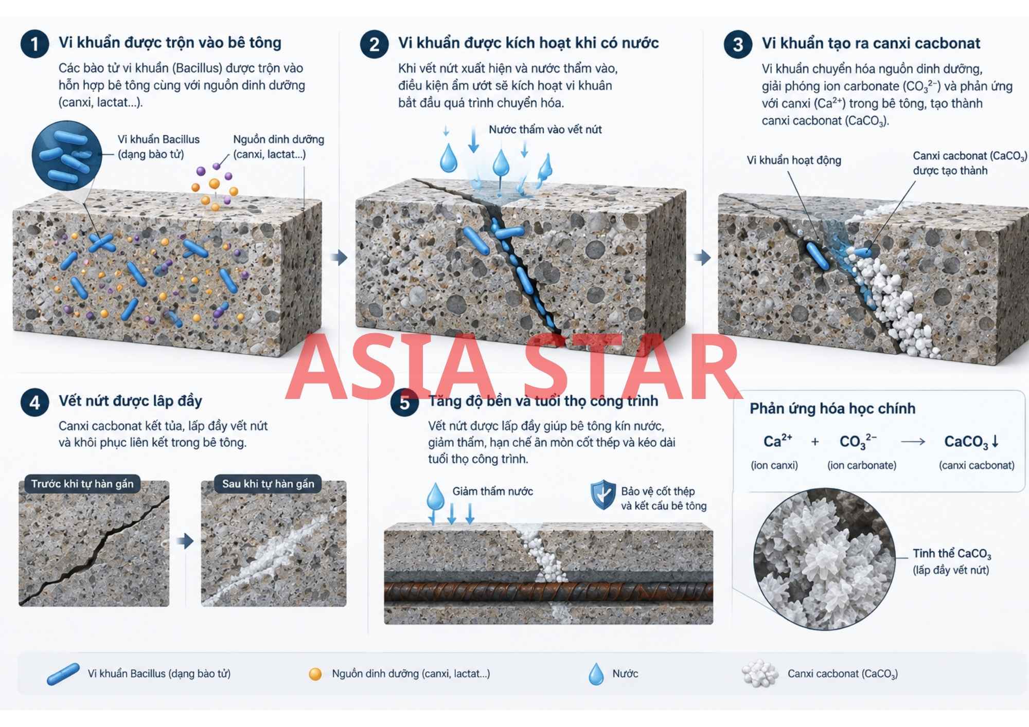 Bê tông dùng vi khuẩn tạo khoáng