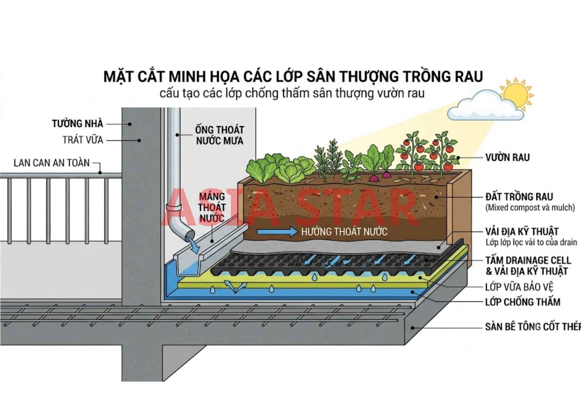 Mặt cắt minh họa
