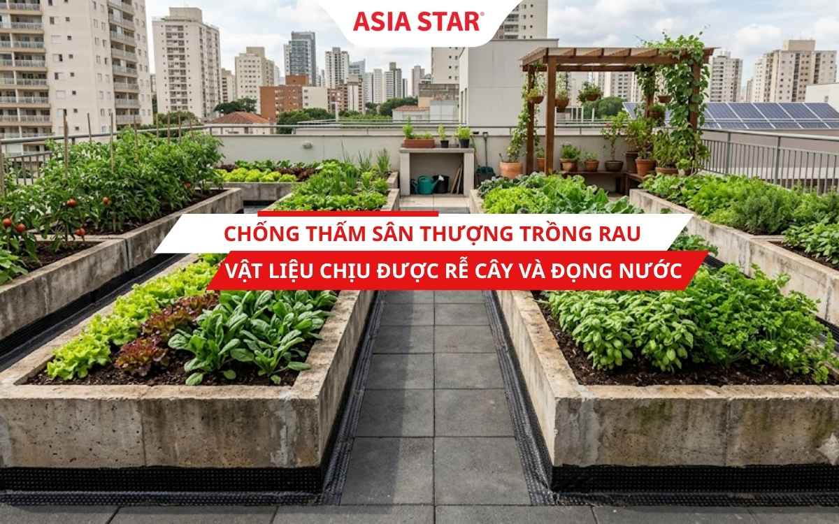 Chống thấm sân thượng trồng rau